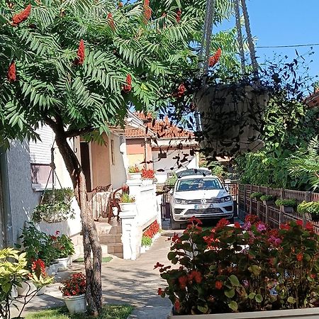 Apartman "Dom Stankovica" Pirot Esterno foto