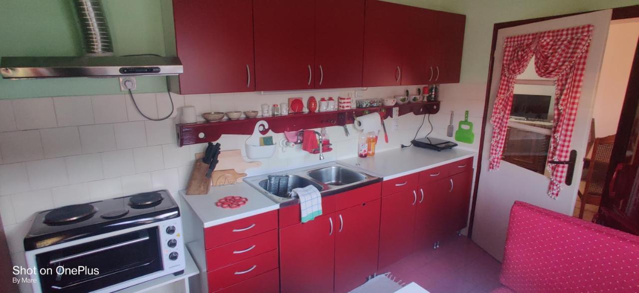 Apartman "Dom Stankovica" Pirot Esterno foto