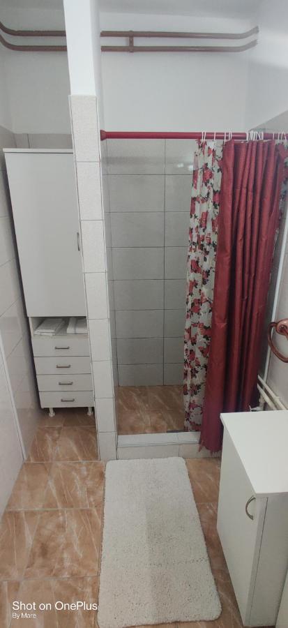Apartman "Dom Stankovica" Pirot Esterno foto