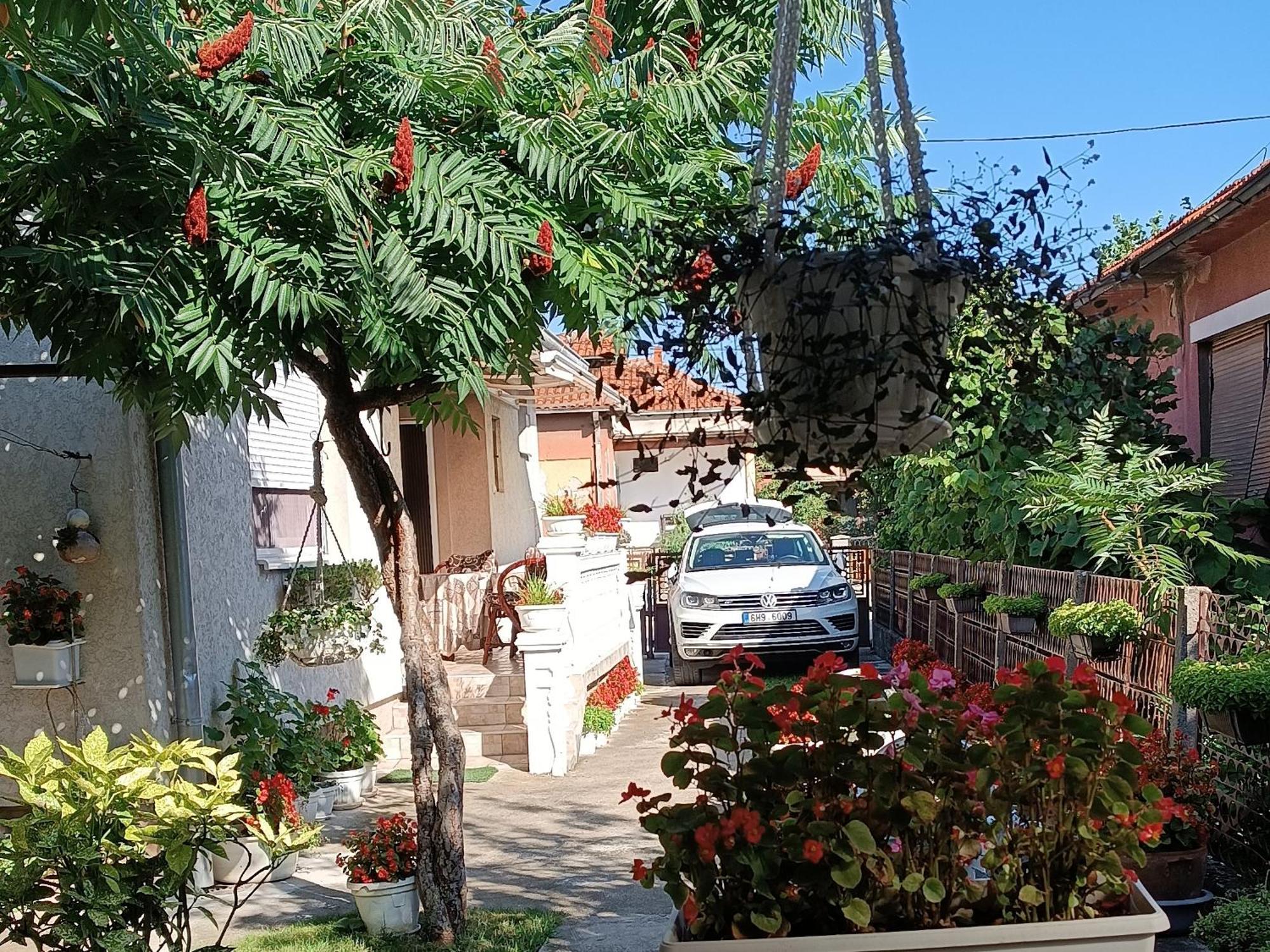 Apartman "Dom Stankovica" Pirot Esterno foto