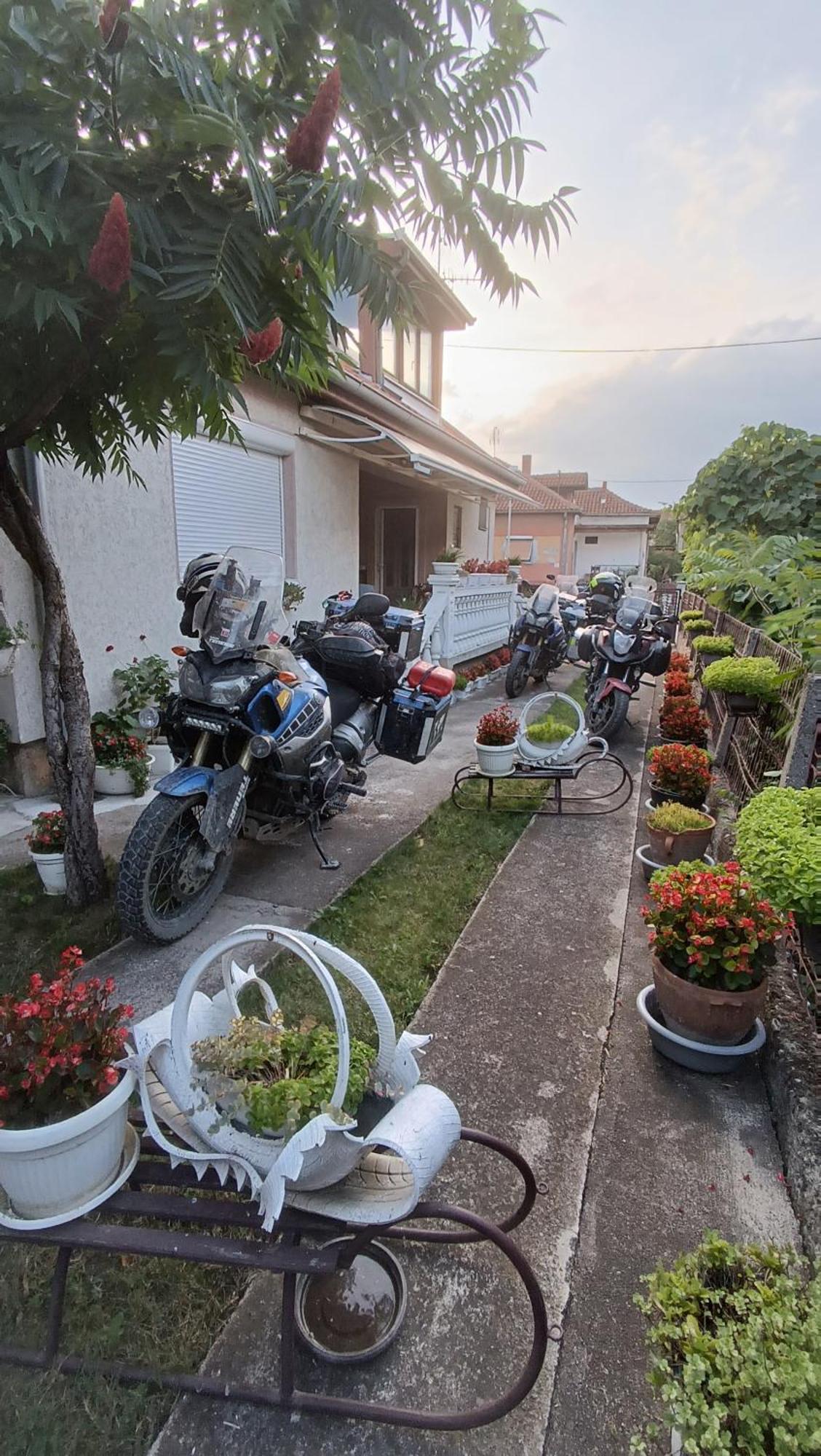 Apartman "Dom Stankovica" Pirot Esterno foto